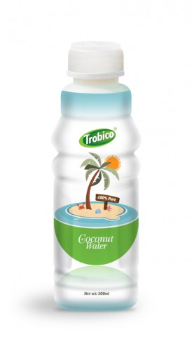 Coconut water 500ml pet bottle (2)